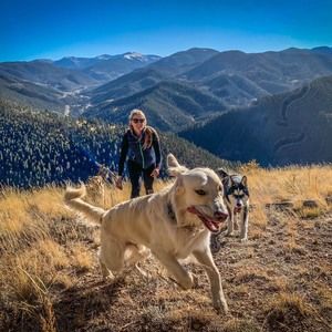 Meet your Posher, Sophia